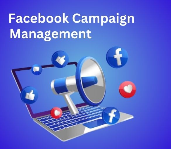 Facebook Campaign Management in Ghaziabad